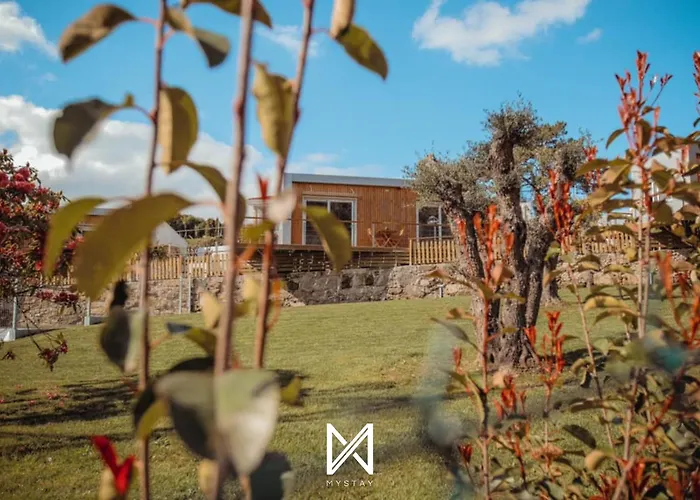 度假居 Mystay - In Quinta Dos Sobrais 巴伦西亚